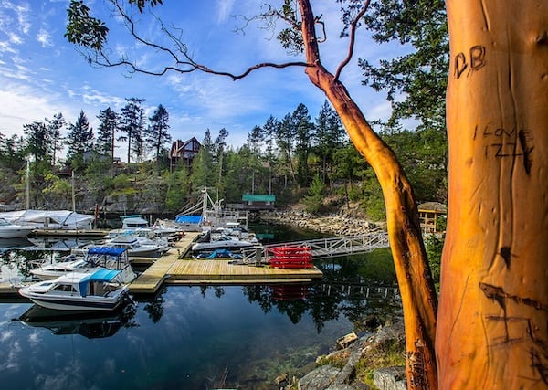 Safe Harbour